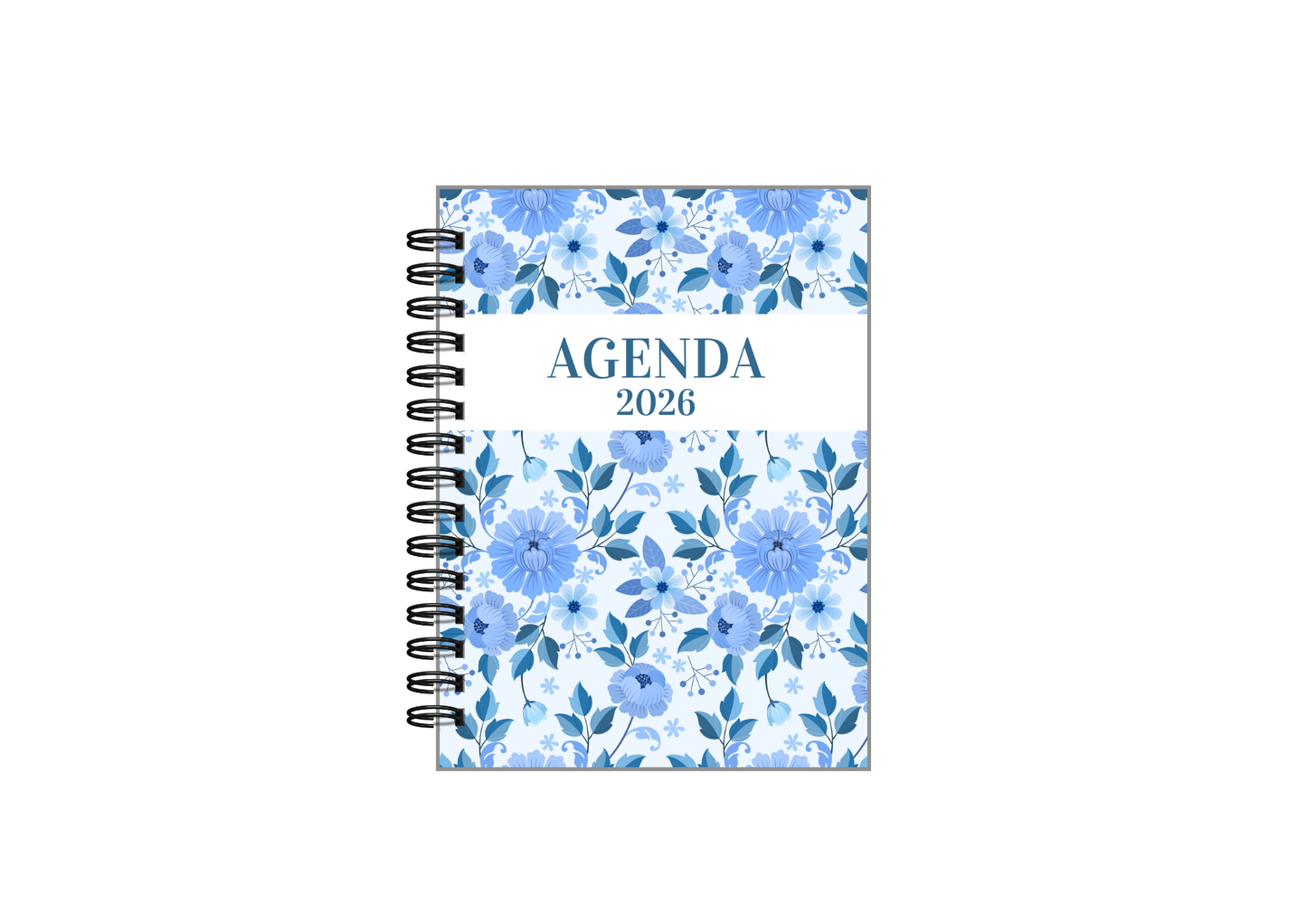 Agenda Bluey 2026