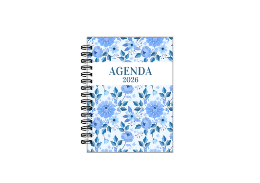Agenda Bluey 2026