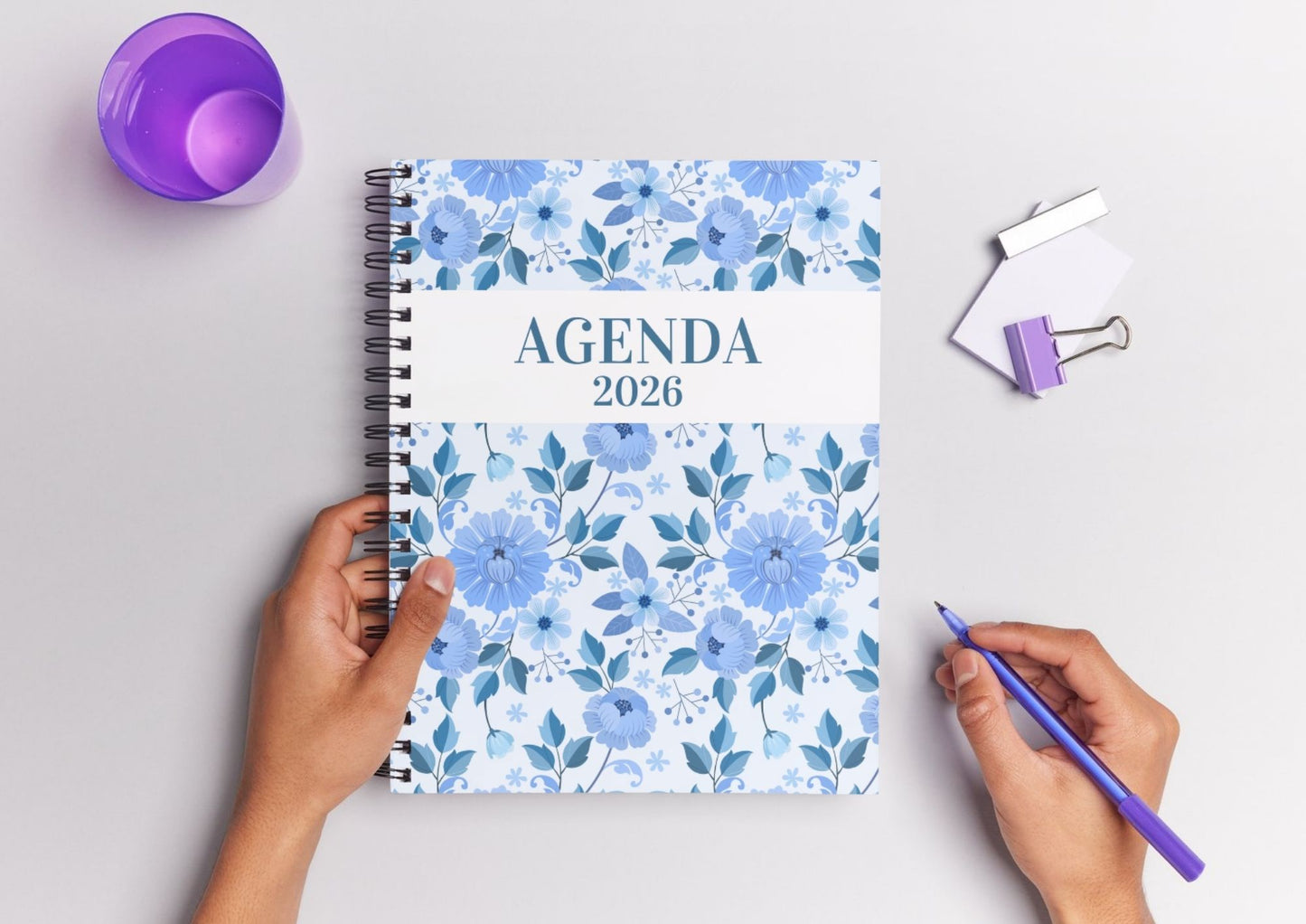 Agenda Bluey 2026